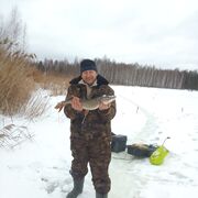 ���������� ���������, ���� ������� �������, 49 ���, ������������ ��� ������, ����� � ���������