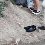 ���������� ���������, ���� ������� ��������, 42 ����, ������������ ��� ������, ����� � ���������, c�������� ���������, ���������