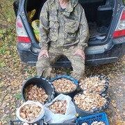  ,   , 51 ,   ,   