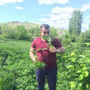 ���������� �����-���������, ���� ������� ������, 31 ���, ������������ ��� ������, ����� � ���������