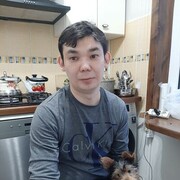  ,   , 37 ,   ,   