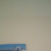 ���������� ������������, ���� ������� �����, 45 ���, ������������ ��� ������