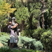 ���������� ������, ���� ������� Vahe, 35 ���, ������������ ��� ������, ����� � ���������, c�������� ���������