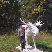  ,   , 54 ,   c 
