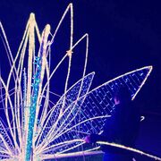 ���������� �������������, �������