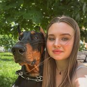 ���������� �����, ���������