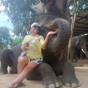 ���������� ����������, ���� ������� �����, 54 ����, ������������ ��� ����� � ���������, c�������� ���������