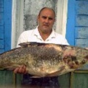 ���������� ������, ���� ������� ������, 50 ���, ������������ ��� ������, ����� � ���������, c�������� ���������