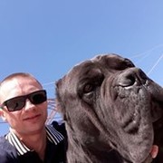  ,  , 38