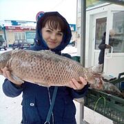 ���������� ��������, ���� ������� �����, 43 ����, ������������ ��� ������, ����� � ���������