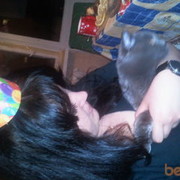 ���������� ����, ���� ������� Julia, 39 ���, ������������ ��� ������, ����� � ���������, c�������� ���������