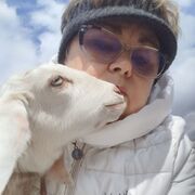  ,   , 55 ,   , c , 