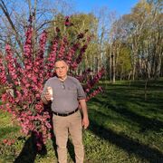 ���������� ���������, ���� ������� ����, 75 ���, ������������ ��� c�������� ���������