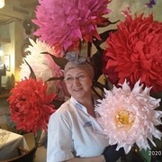  ,   , 60 ,  