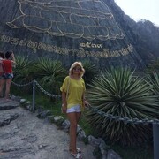  ,   , 56 ,   ,   