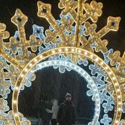 ���������� �����������, ���� ������� ������, 40 ���, ������������ ��� ������, ����� � ���������