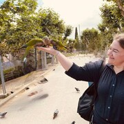  Barcelona,  Sveet, 43