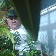  ,   Baxt, 57 ,   , 