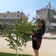  ,   , 55 ,  