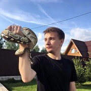  ,  , 28