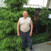  ,   , 53 ,     , c 