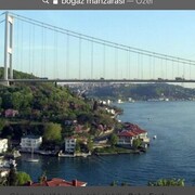  Korfez,  Mustafa, 43