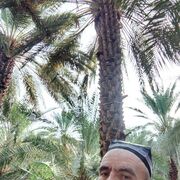 ���������� ������, ���� ������� �����, 48 ���, ������������ ��� ������, ����� � ���������