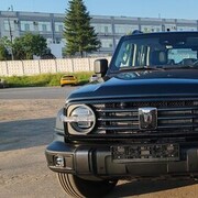 ���������� ����������, ���� ������� �������, 44 ����, ������������ ��� ������, ����� � ���������, ���������