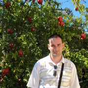 � ������