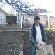  ,   Sardor, 37 ,     , c , 