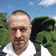  -,   , 49 ,   ,   