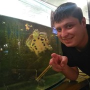 ���������� �����, ���� ������� Andy, 35 ���, ������������ ��� ������, ����� � ���������, c�������� ���������