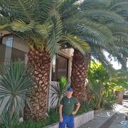 ���������� �������, ���� ������� ������, 62 ����, ������������ ��� ������, ����� � ���������, c�������� ���������