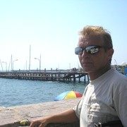  ,  zebra866, 56