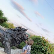 ���������� �����-���������, ���� ������� ������, 50 ���, ������������ ��� ������, ����� � ���������