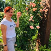  ,   , 48 ,   ,   , 