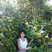  ,   Ludmila, 49 ,   ,   , c 