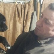  ,   , 38 ,   c 