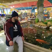 ���������� �������, ���� ������� ����, 46 ���, ������������ ��� ������, ����� � ���������