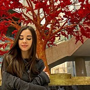 ���������� ������, ������