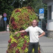 ,   Michelin, 39 ,  