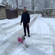  ,   , 33 ,   ,   