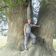 ���������� �����, ���� ������� ��������, 41 ���, ������������ ��� ������, ����� � ���������, c�������� ���������