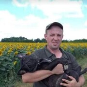 ���������� ����, ���� ������� ������, 43 ����, ������������ ��� ������, ����� � ���������, c�������� ���������, ���������