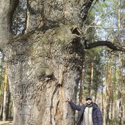  ,  , 36