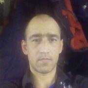  ,   , 41 ,   