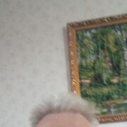  ,  , 61