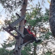 ���������� �������, ���� ������� ����, 28 ���, ������������ ��� ������, ����� � ���������, c�������� ���������