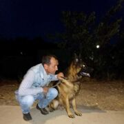  ,   , 54 ,   ,   