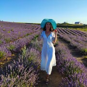 ���������� �����������, ���� ������� ����������, 37 ���, ������������ ��� ����� � ���������, c�������� ���������